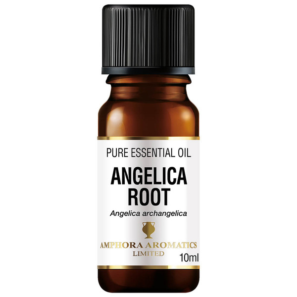 Amphora Aromatics Angelikawurzel-Öl 10 ml | Gesundheit | Superdrug