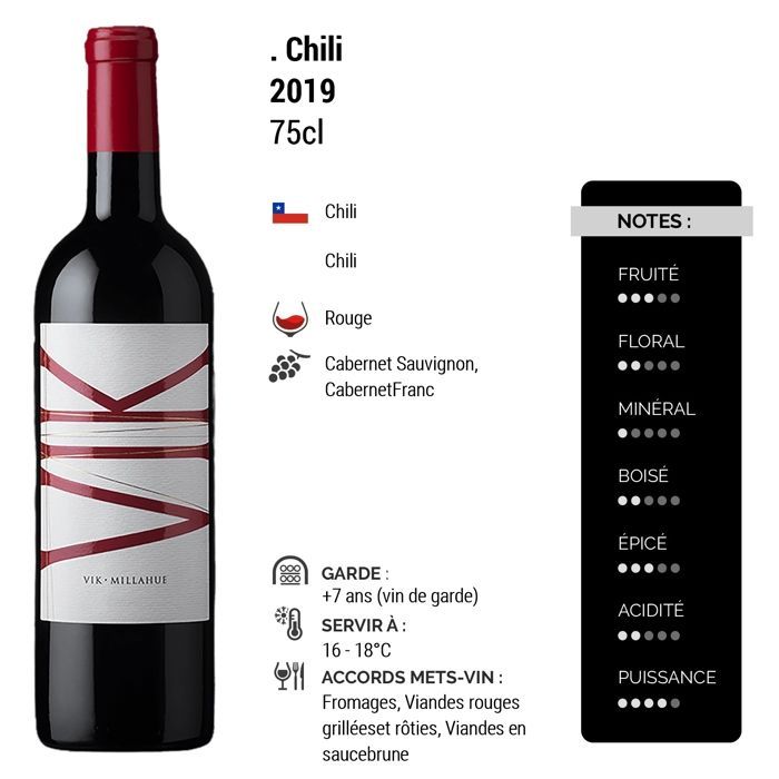Vik Chili Central Valley 2019 - Chilean Red Wine (3x75cl)