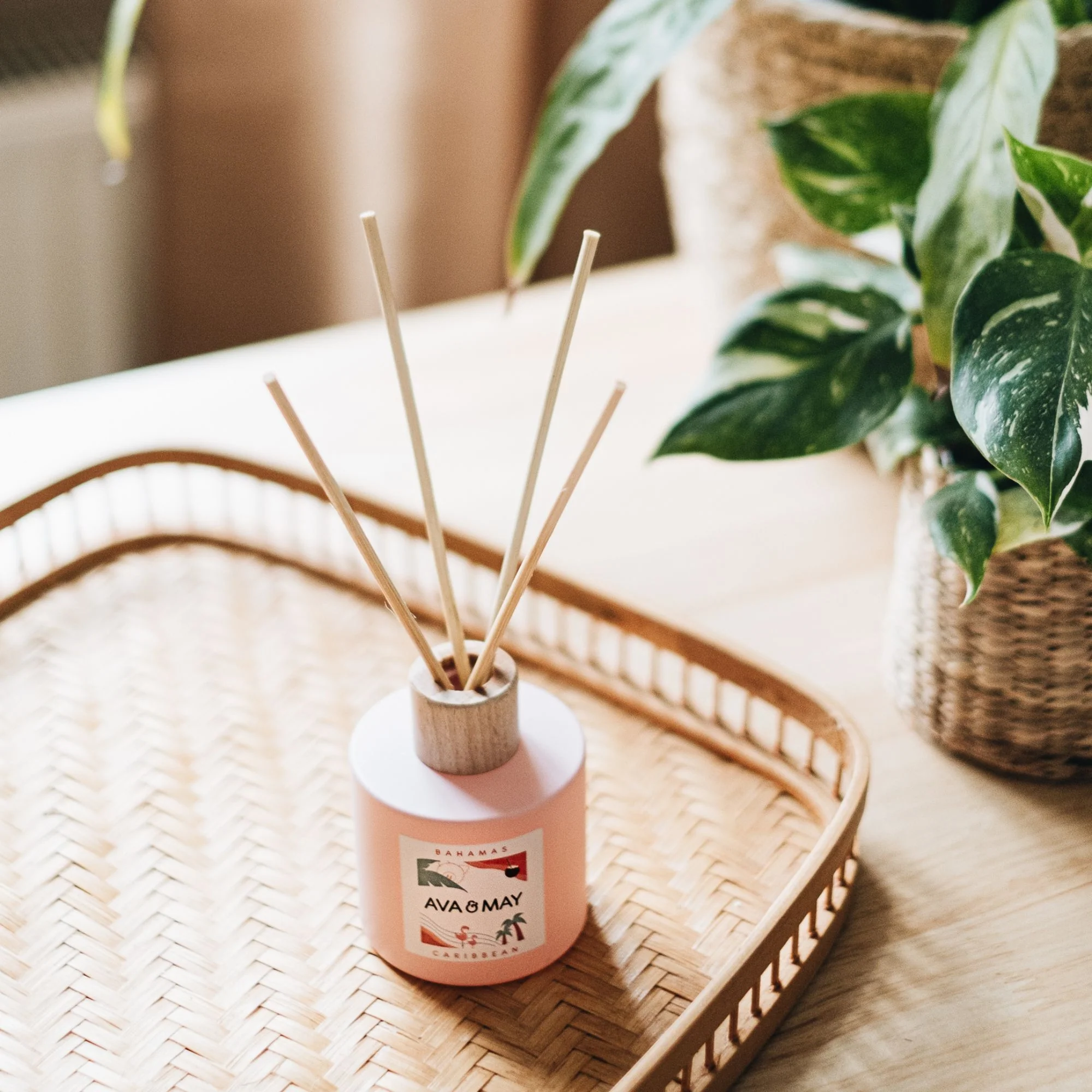 Diffusori Bahamas - Diffusore di Profumo