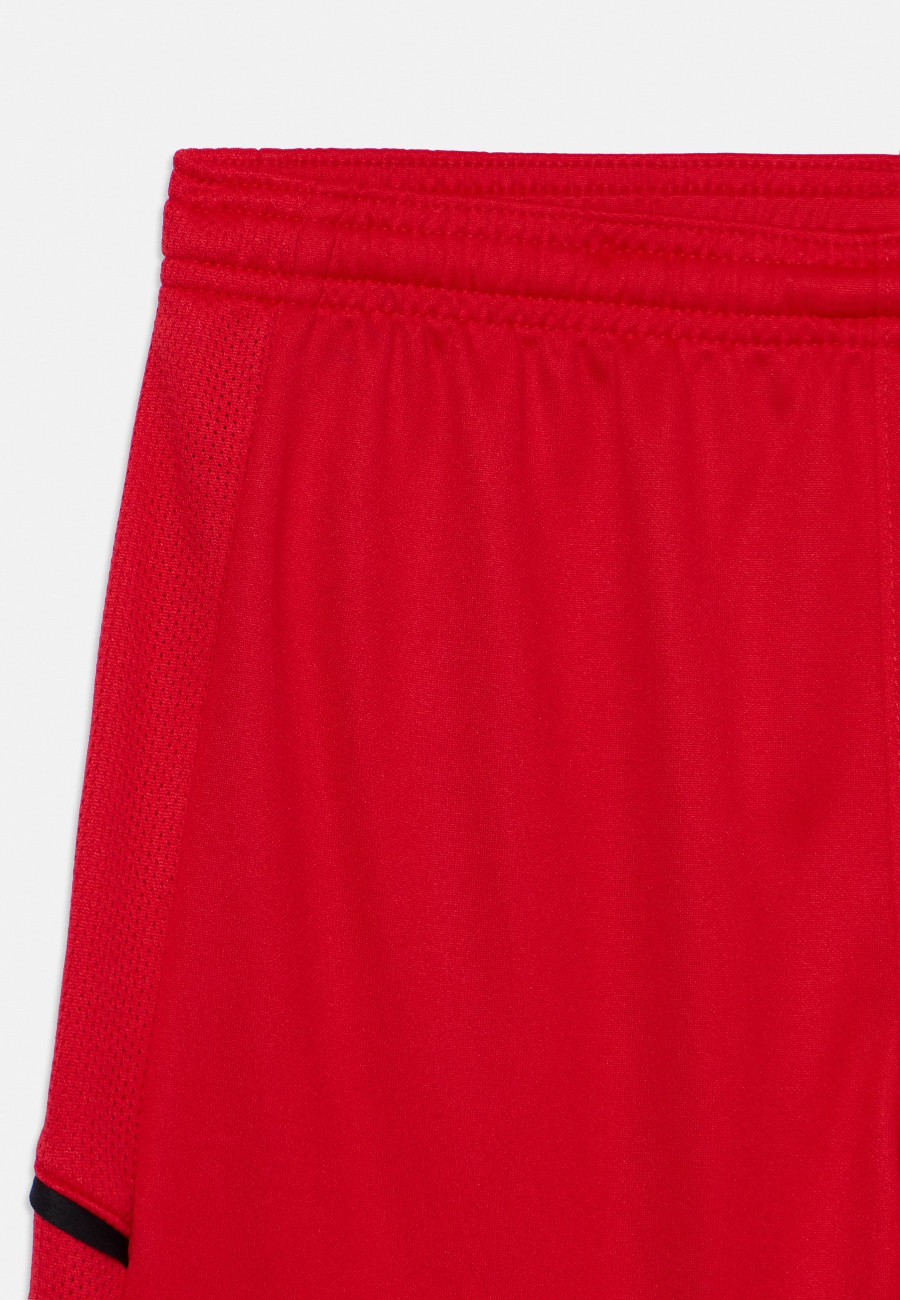 Nike Performance sportshorts - universiteitsrood/zwart