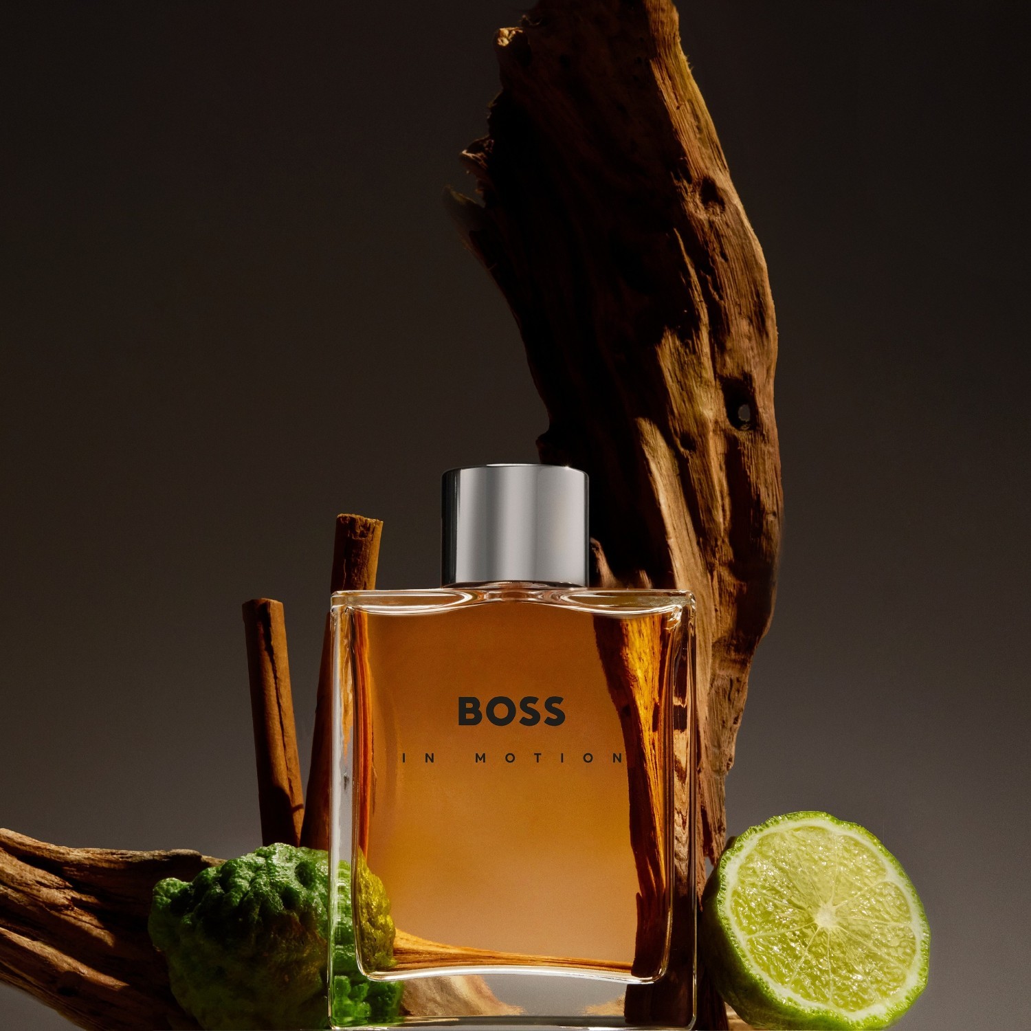 Hugo Boss toaletna voda Boss in Motion Original toaletna voda - 100 ml