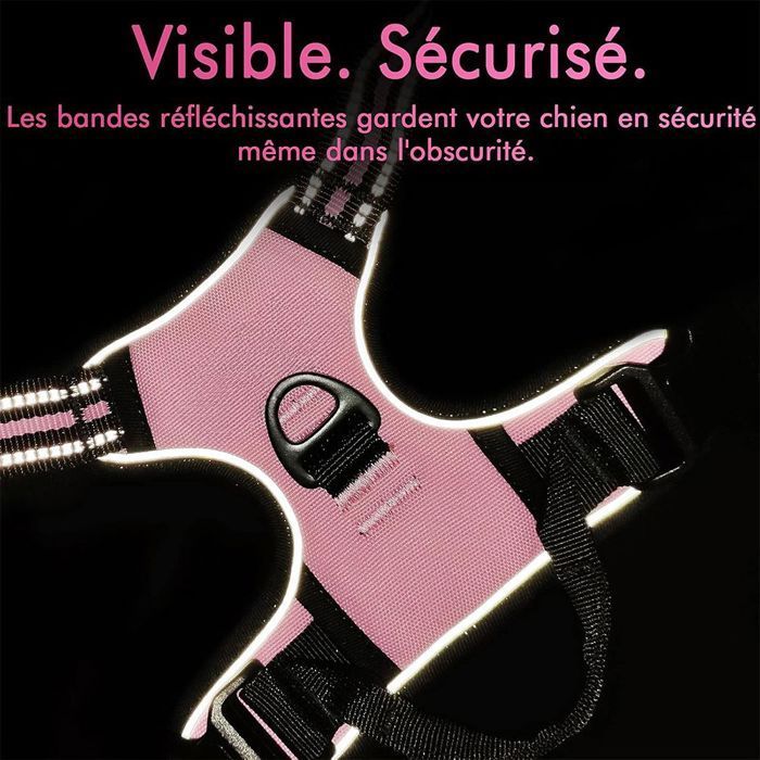 Dog Harness - No Name - Size M - Anti-Pull - Reflective - 1.5M Leash