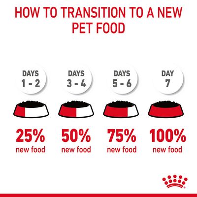 Royal Canin Hairball Care in Soße