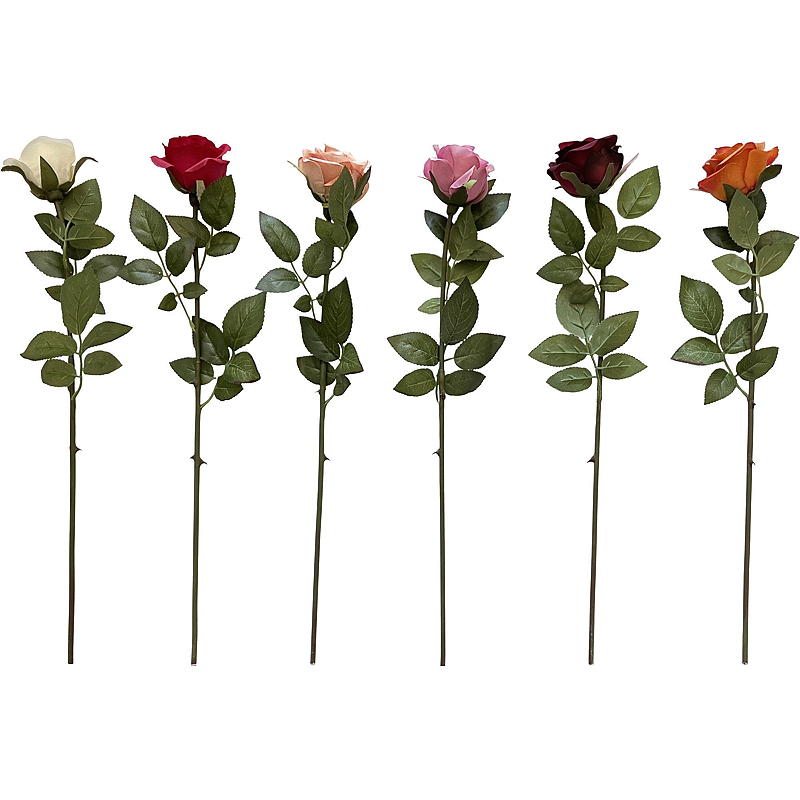 Rosenstiel für Zuhause, 55 cm