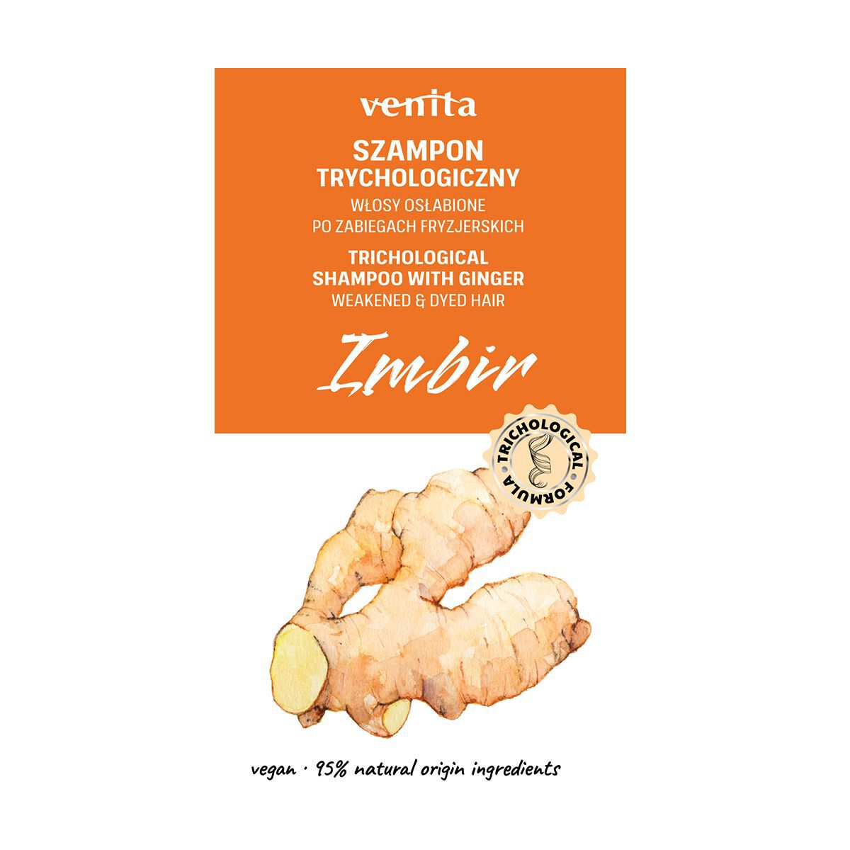 Zenzero Venita