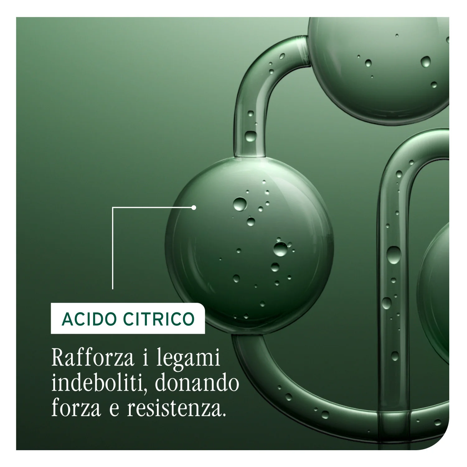 Bond Therapy Conditioner - Balsamo Rivitalizzante Capelli