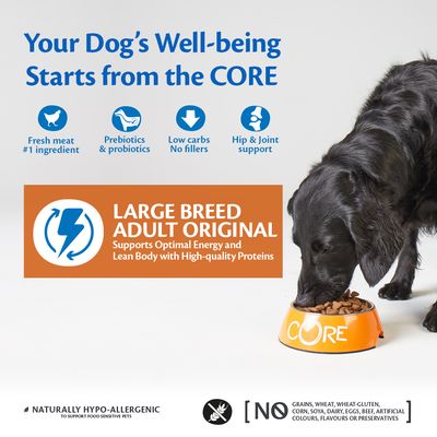 Wellness Core Large Adult Original Trockenfutter für Hunde