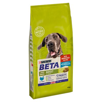BETA Voksen Stor Race