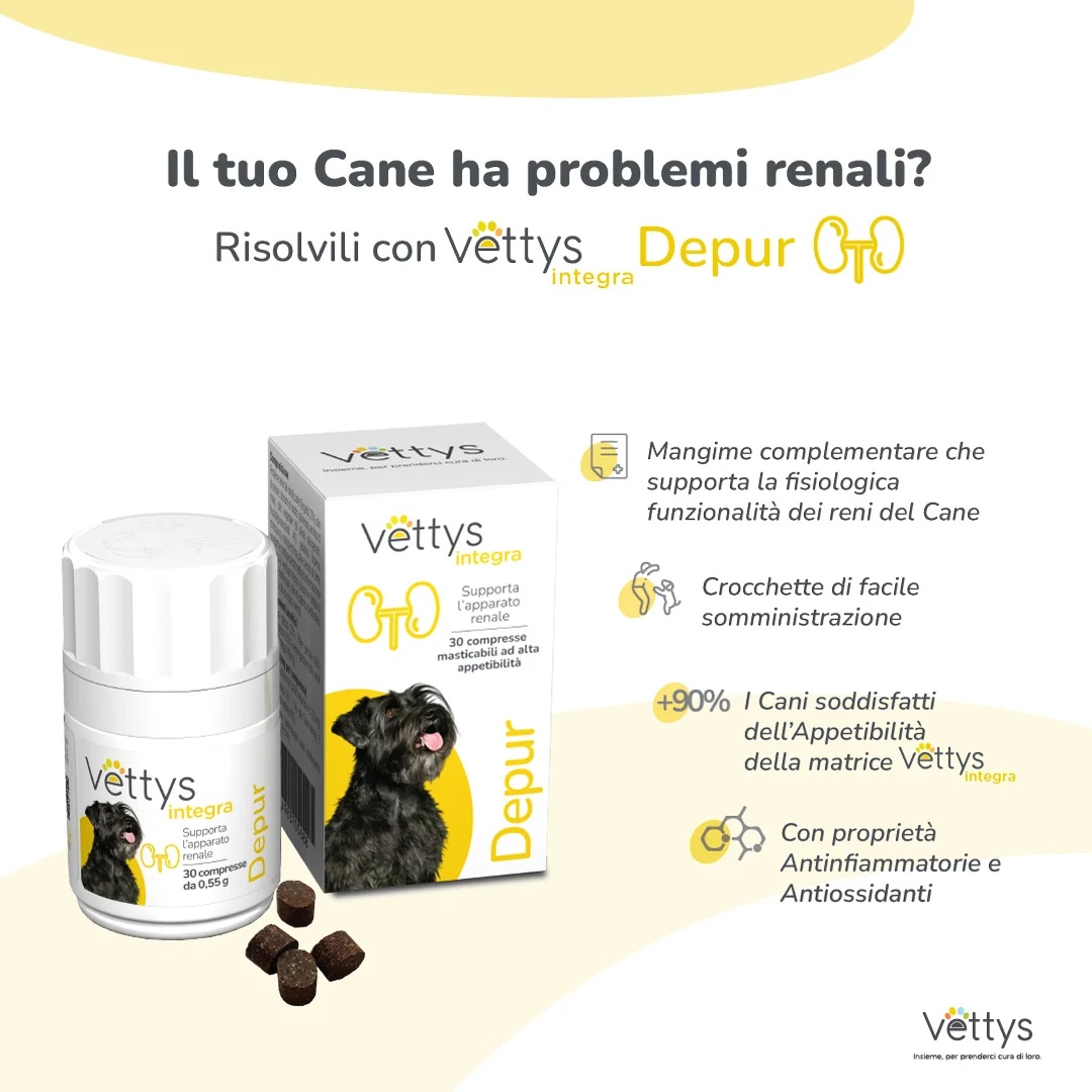 VETTYS Vettys Integra Depur Cane 30 comprimidos depurativos para cães