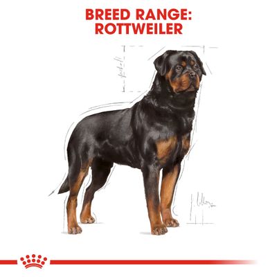Royal Canin Rottweiler Adulte