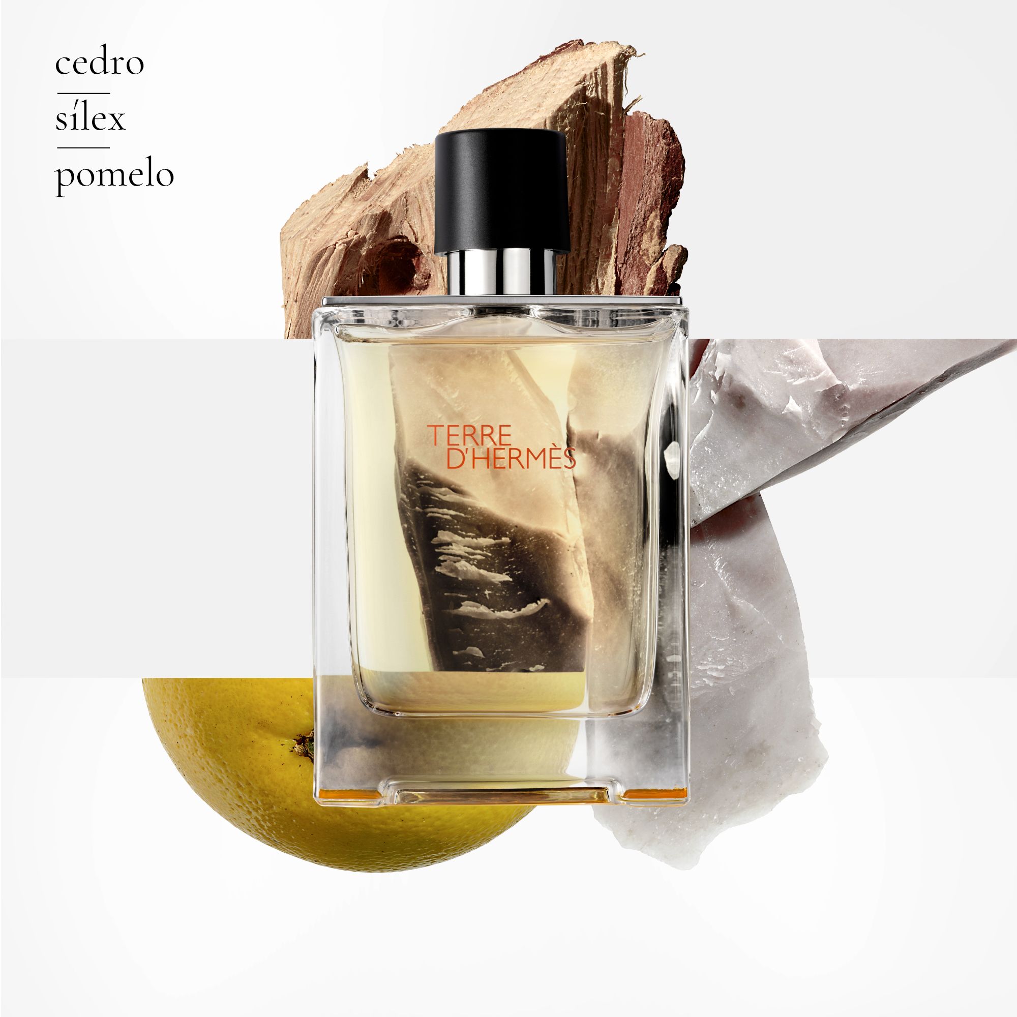 Terre d'Hermès Eau de toilette  Colonies za muškarce