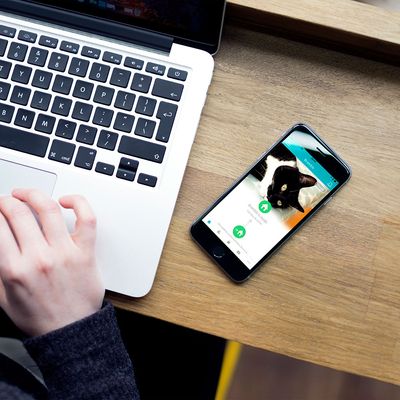Porta para animais de estimação SureFlap com microchip Connect