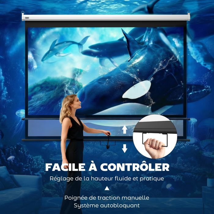 Écran de Projection 120
