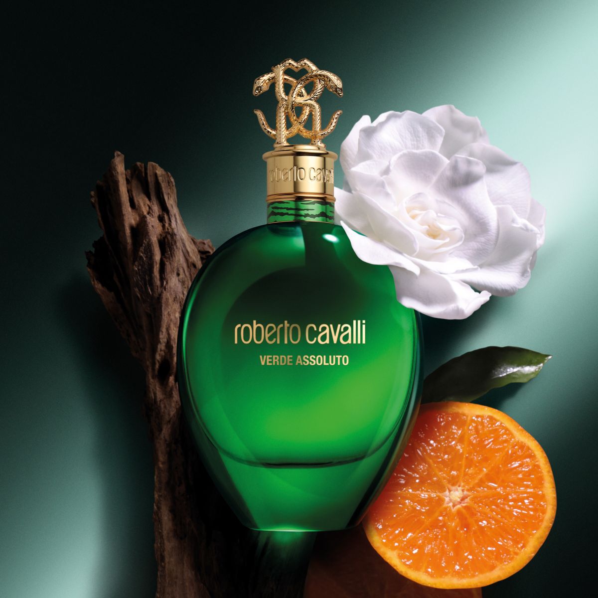 Roberto Cavalli SIGNATURE VERDE ASSOLUTO