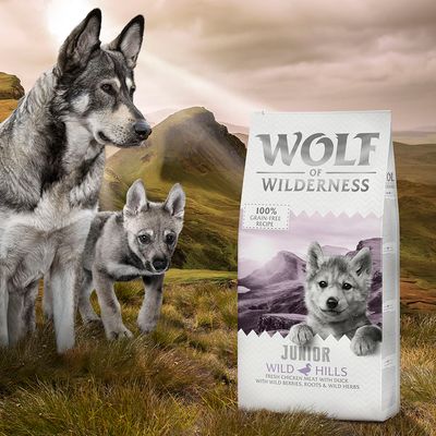 Wolf of Wilderness Junior 'Wild Hills' - Ente