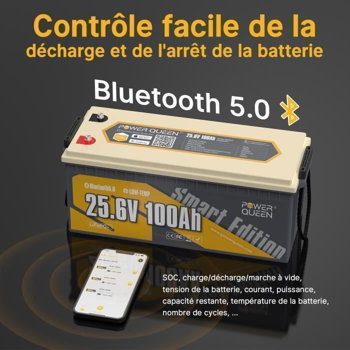 PowerQueen 24V 100Ah LiFePO4 lithiumbatterij met Bluetooth voor voertuigen, kamperen, caravans, reizen, scheepvaart en zonne-energiesystemen