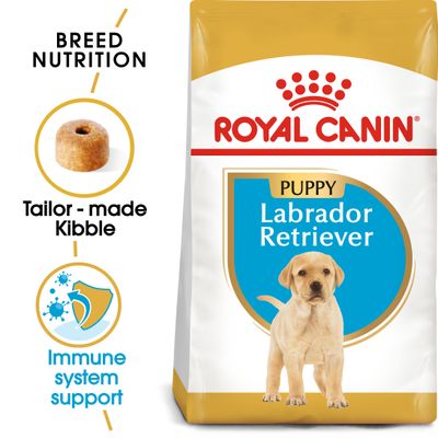 Cachorro de Labrador Retriever de Royal Canin
