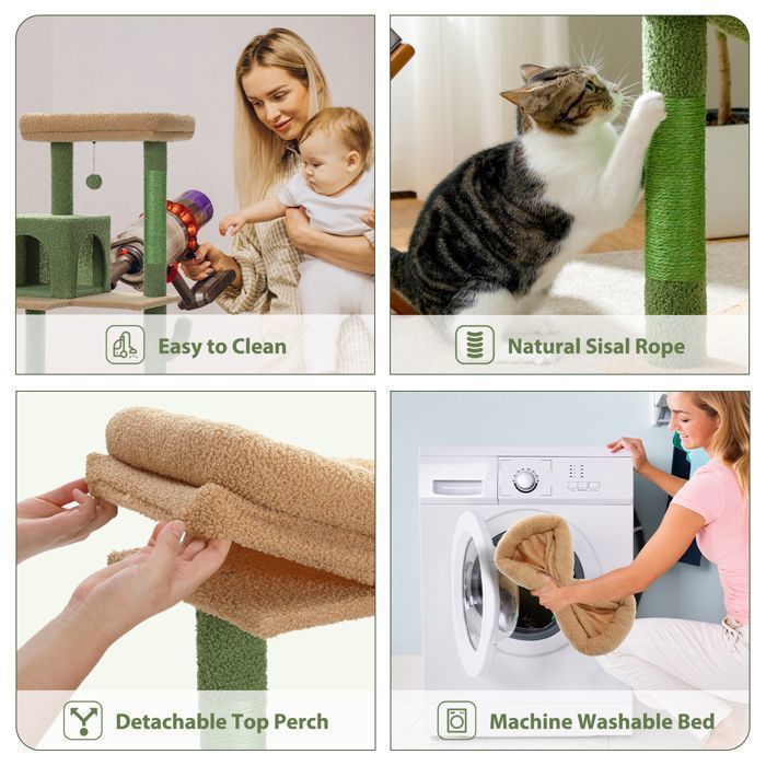 PAWZ Road Krabpaal, Ruim Ontwerp, Grote, Stevige Hangmat met Hangmat en Mooi Kattenhuis - Groene Cactus - 143 cm