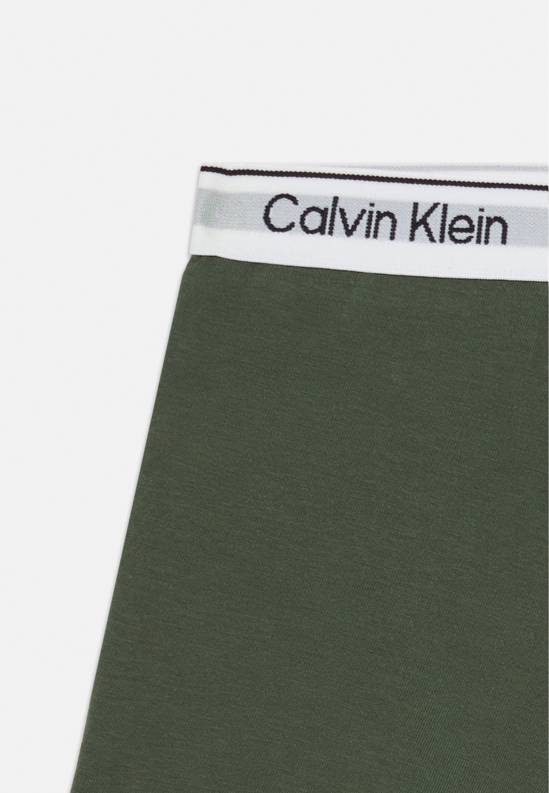 Calvin Klein Underwear TRUNK 2 PACK - Nohavice - tymian/céder