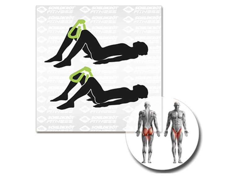 Schildkröt Fitness Thigh Trainer / Leg Trainer