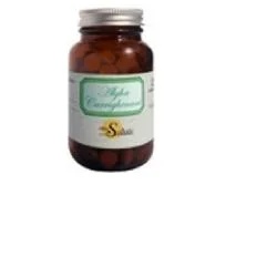 Algen Carrighenani 100 tabletten