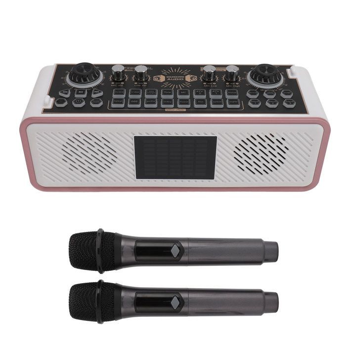 Kit scheda audio SALALIS per microfono podcast, kit scheda audio karaoke, ricarica Type-C, altoparlante per computer
