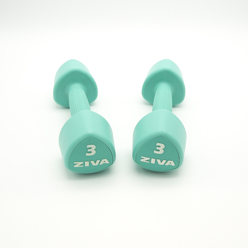 2 Mancuernas De 6 Kg Ziva Chic Studio Turquesa
