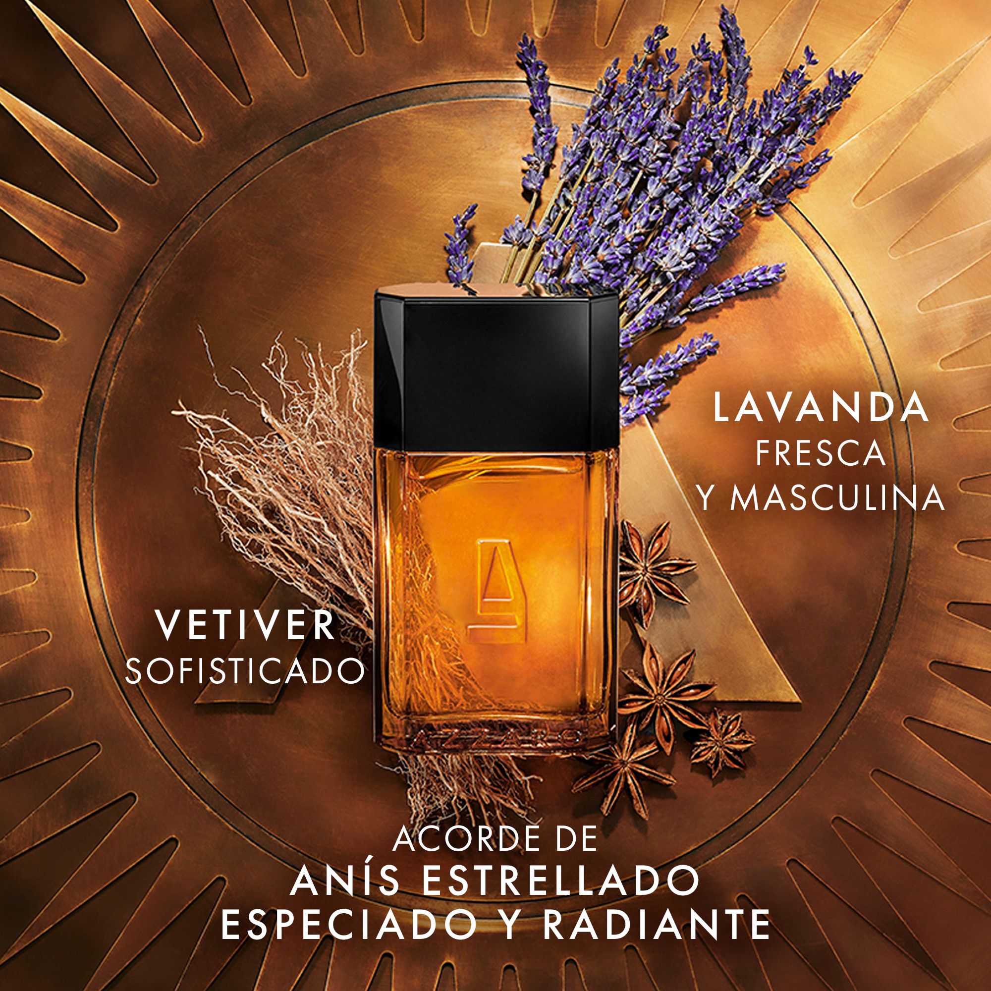 Azzaro Pour Homme EDT Kelnje za muškarce