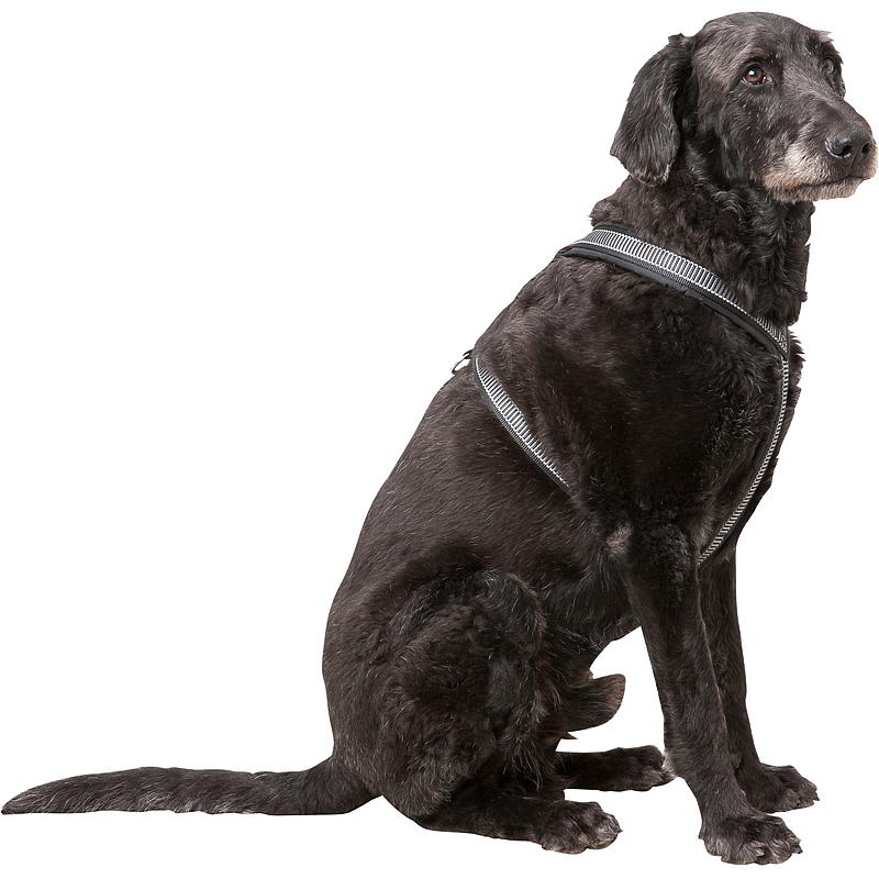 Zoozaker hundsele Y-formad 30 cm med vaddering och reflex