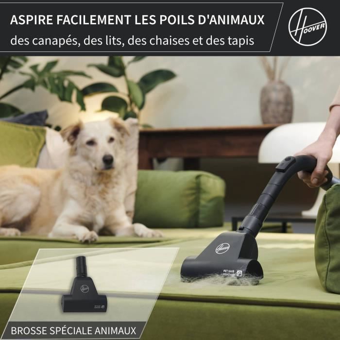 HOOVER HE1 – Kompakter und leistungsstarker Staubsauger mit Beutel – Großes 2,5-Liter-Fassungsvermögen – Hohe Leistung auf Hartböden und Teppichen