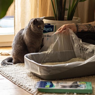 Biokat's Eco Bags XXL -kissanhiekkalaatikoille