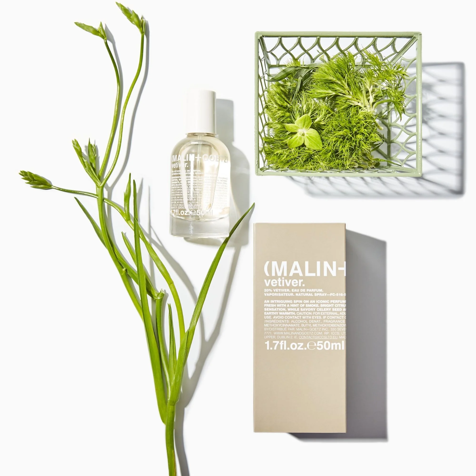 Fragrance Vetiver eau de parfum - Eau de Parfum Unisex, Eau de Parfum