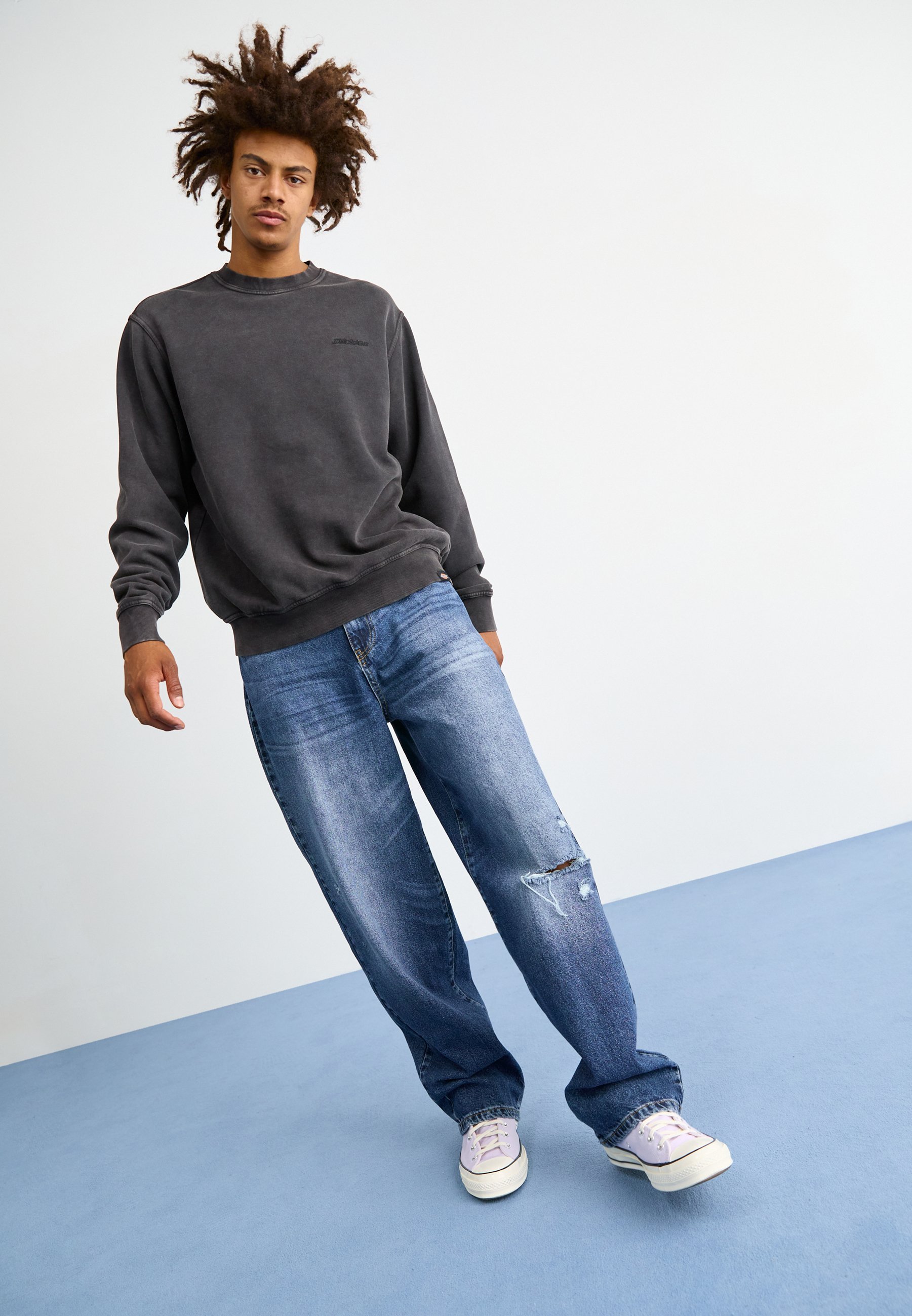 Dickies Sweatshirts