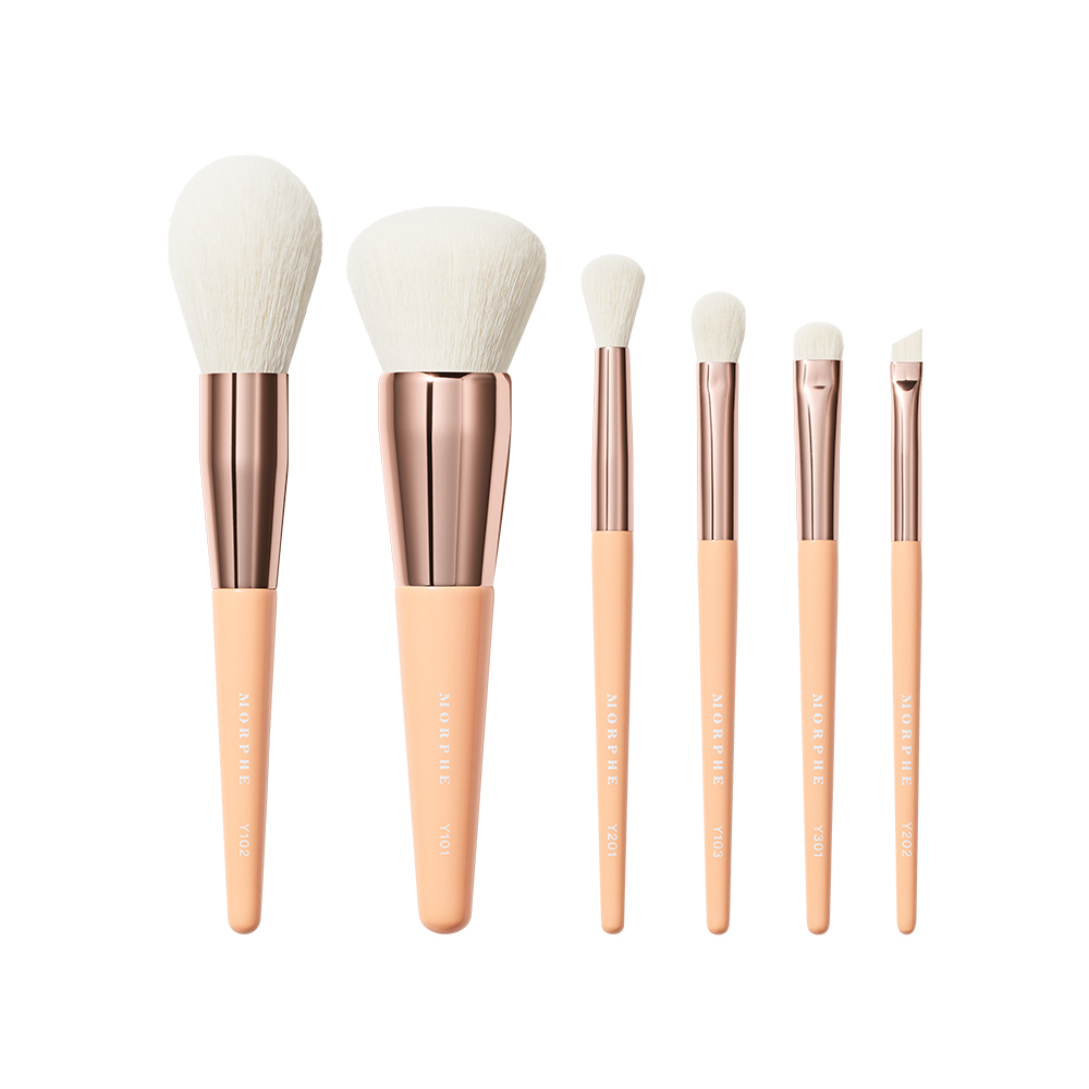 Aurascape Travel set od 6 kistova za lice i oči - Morphe