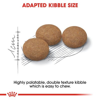 Royal Canin Ageing Sterilised 12+ -koiranruoka