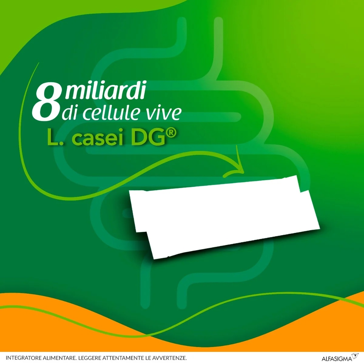 ENTEROLACTIS Enterolactis Orosolubile 12 sachets Complément alimentaire intestinal