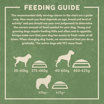 Harringtons Complete Large Adult Dog - Rijk aan kip en rijst
