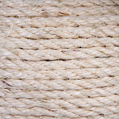 Planet Scratch Post