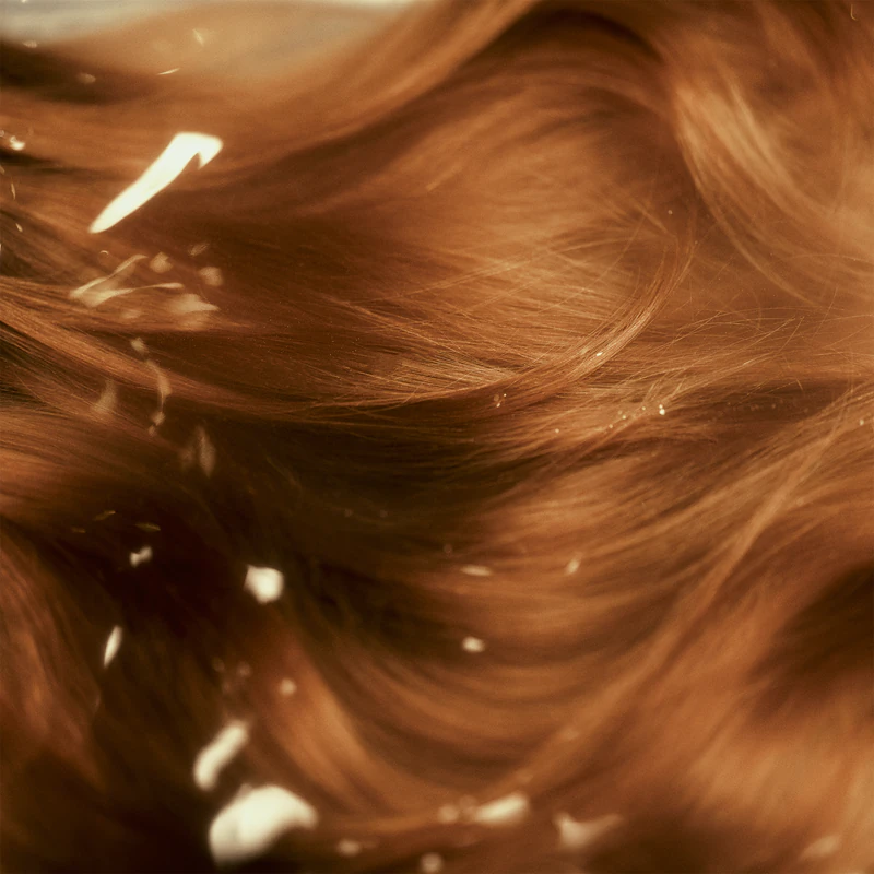 Hair Rituel by Sisley Protective Shield Mist für mittellanges Haar