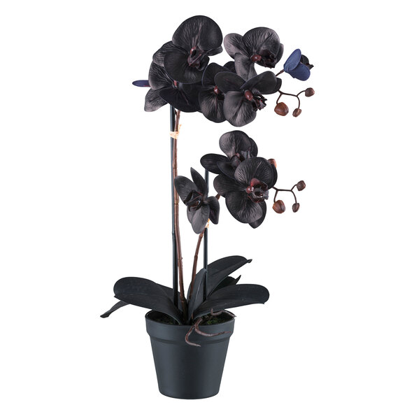 Τεχνητή ορχιδέα Phalaenopsis σε πλαστική γλάστρα, 53 εκ.
