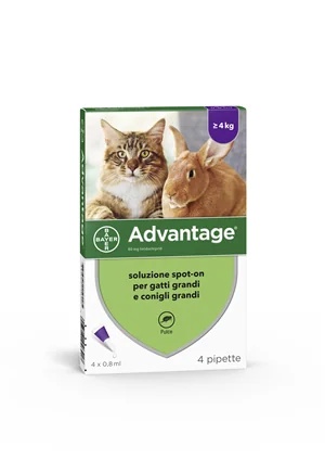 ADVANTIX Advantage Spot-On pour chats/lapins 4 x 80 mg | 4 x 0,8 ml