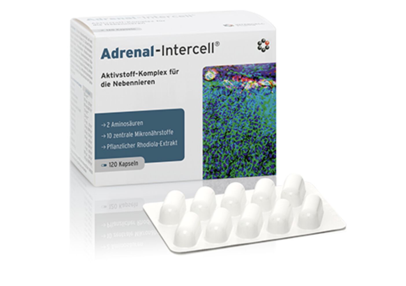 Mito-Pharma Adrenal-Intercell