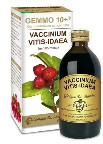 Dr. GIORGINI Bosbes Ro Liq Analco Gemm10+