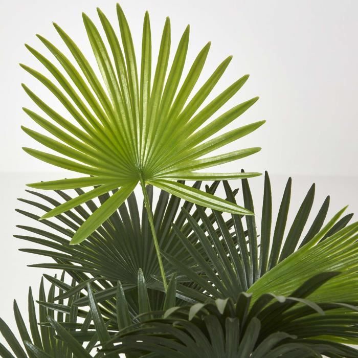 Palmier bambou vert Lady Palm en pot, 90 cm