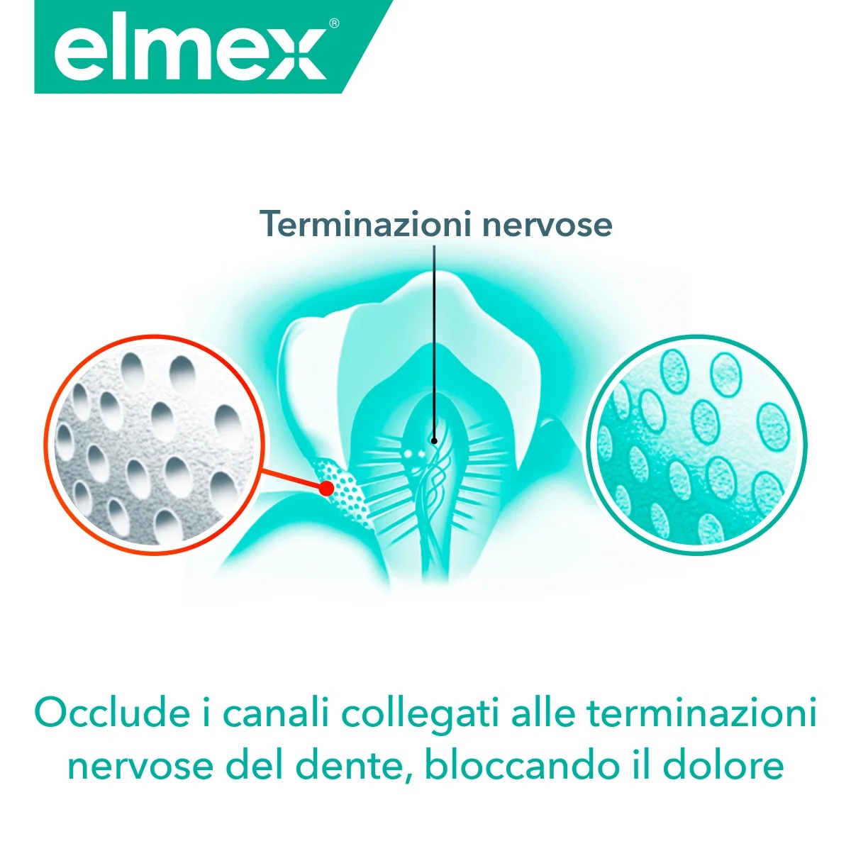 Dentifrice blanchissant ELMEX Sensitive Professional 75 ml pour dents sensibles