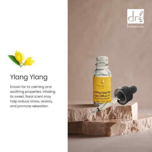 Dr. Botanicals Uklidňující difuzérový olej s ylang-ylangem Duo 2 x 10ml | Zdraví | Superdrug