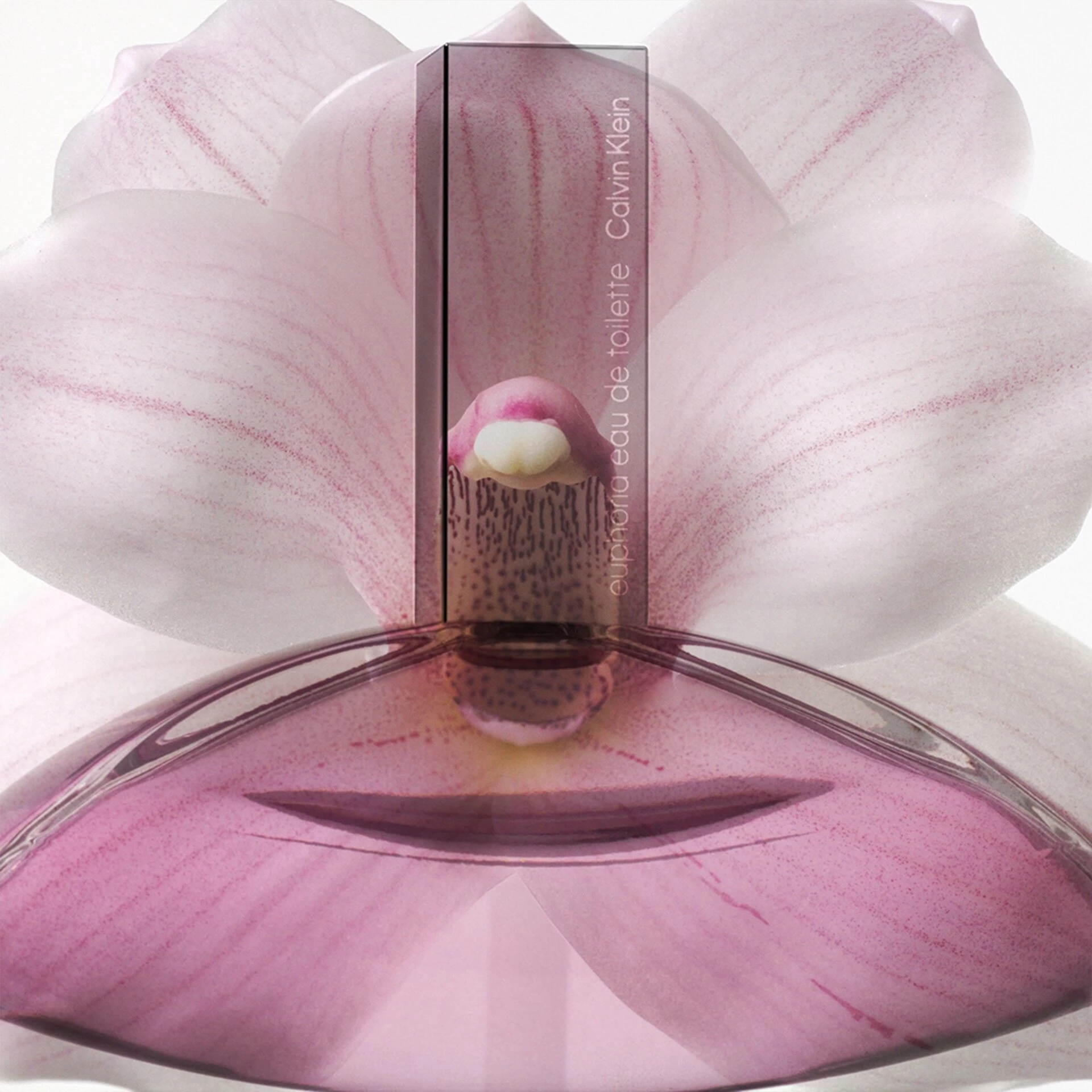 Euphoria toaletna voda 100 ml - Calvin Klein