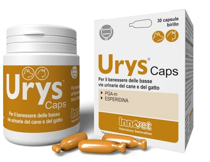 INNOVET Innovet Urys Caps Complément alimentaire pour les voies urinaires des chiens et des chats 30 capsules Birillo pour toutes races et tous âges
