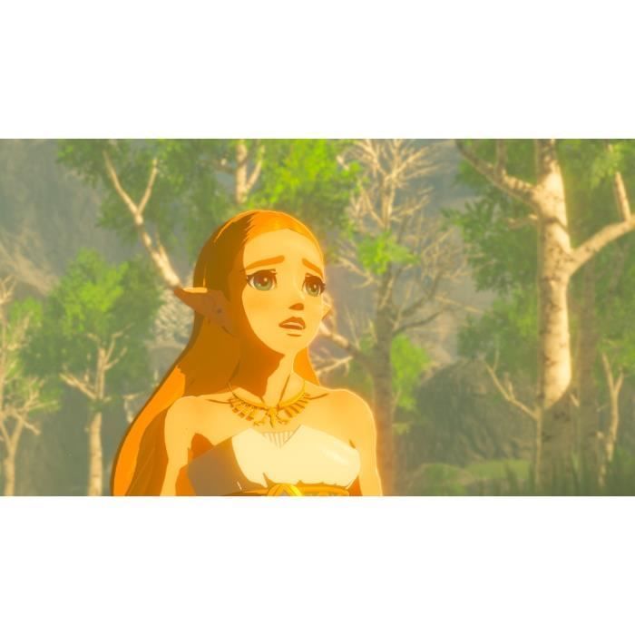 La leyenda de Zelda: Breath of the Wild • Juego para Nintendo Switch