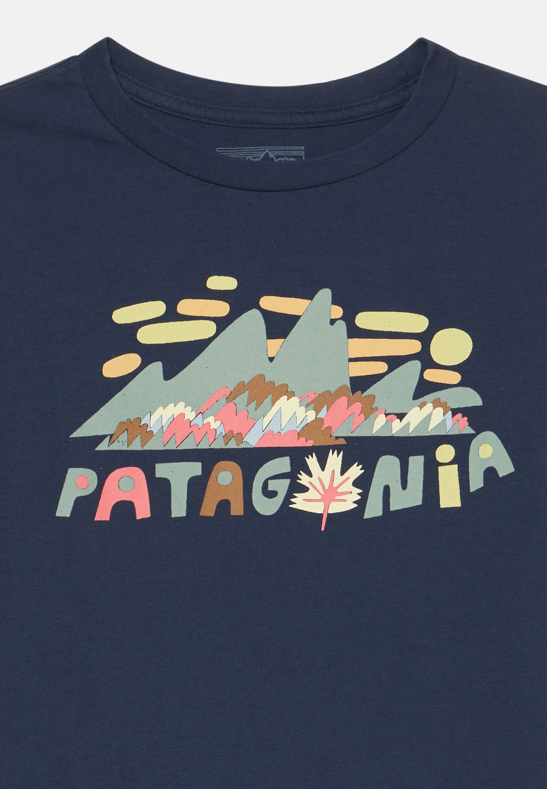 Patagonia GRAPHIC UNISEX - Top met lange mouwen - fitz roy/new navy